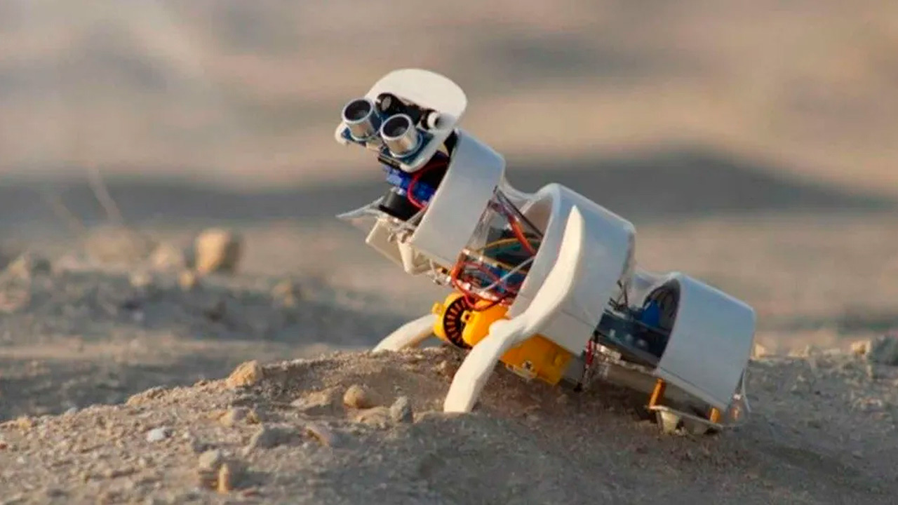 Robot para sembrar semillas en el desierto