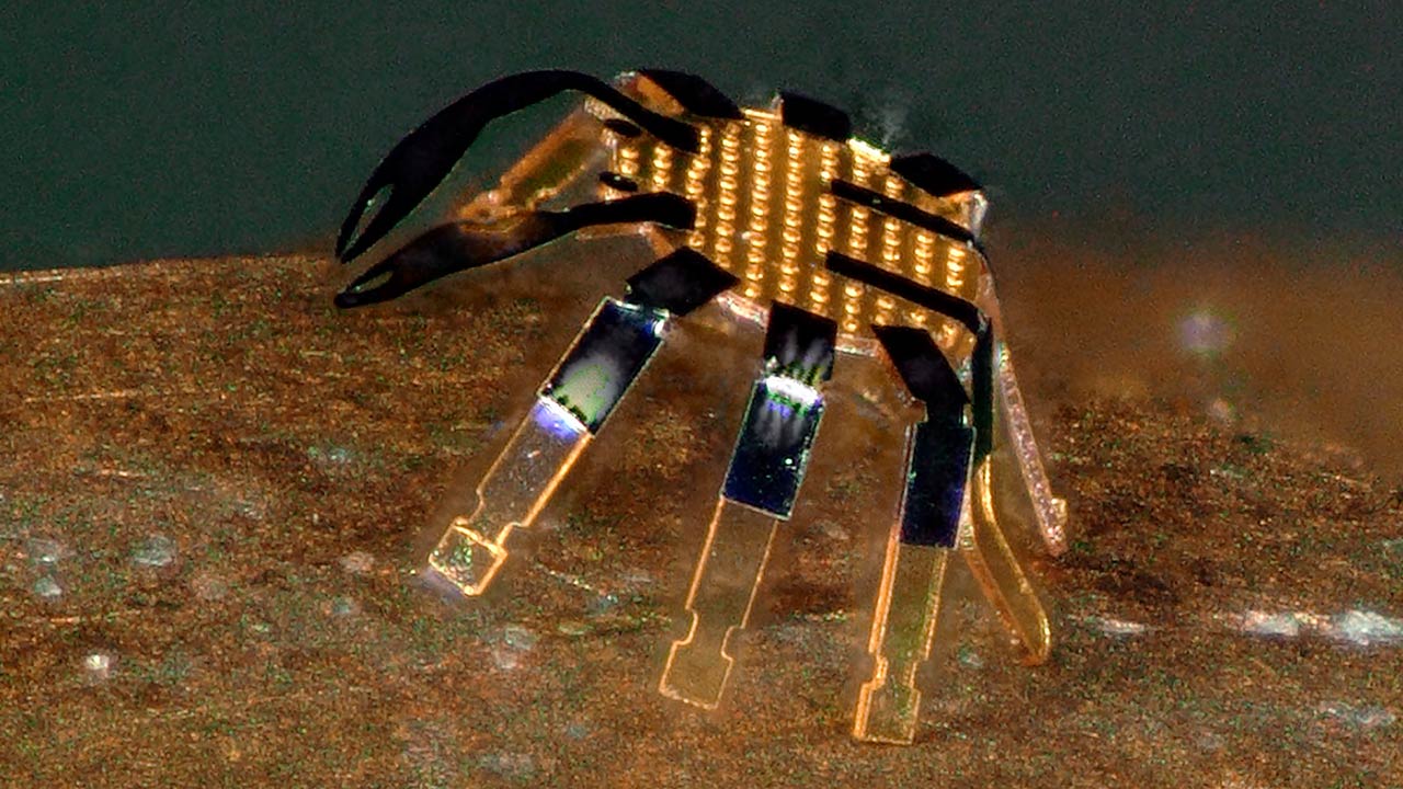 El robot a control remoto más pequeño del mundo