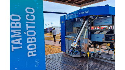 Argentina supera 400 tambos robotizados activos